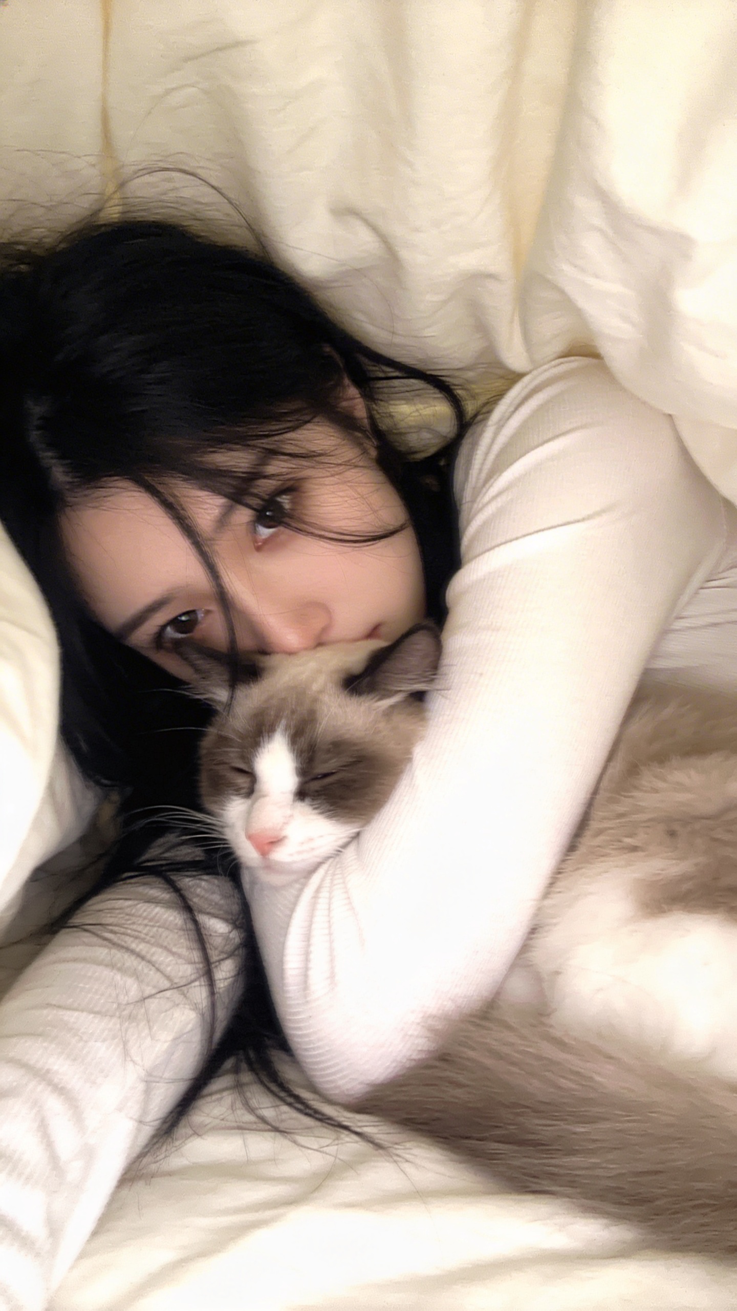 Hidden Eyes While Cuddling a Cat Under the Blanket