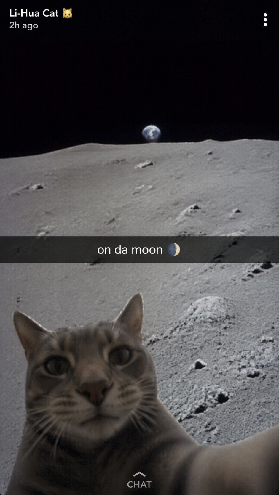 Distant Li Hua Cat on the Moon Snapchat Selfie