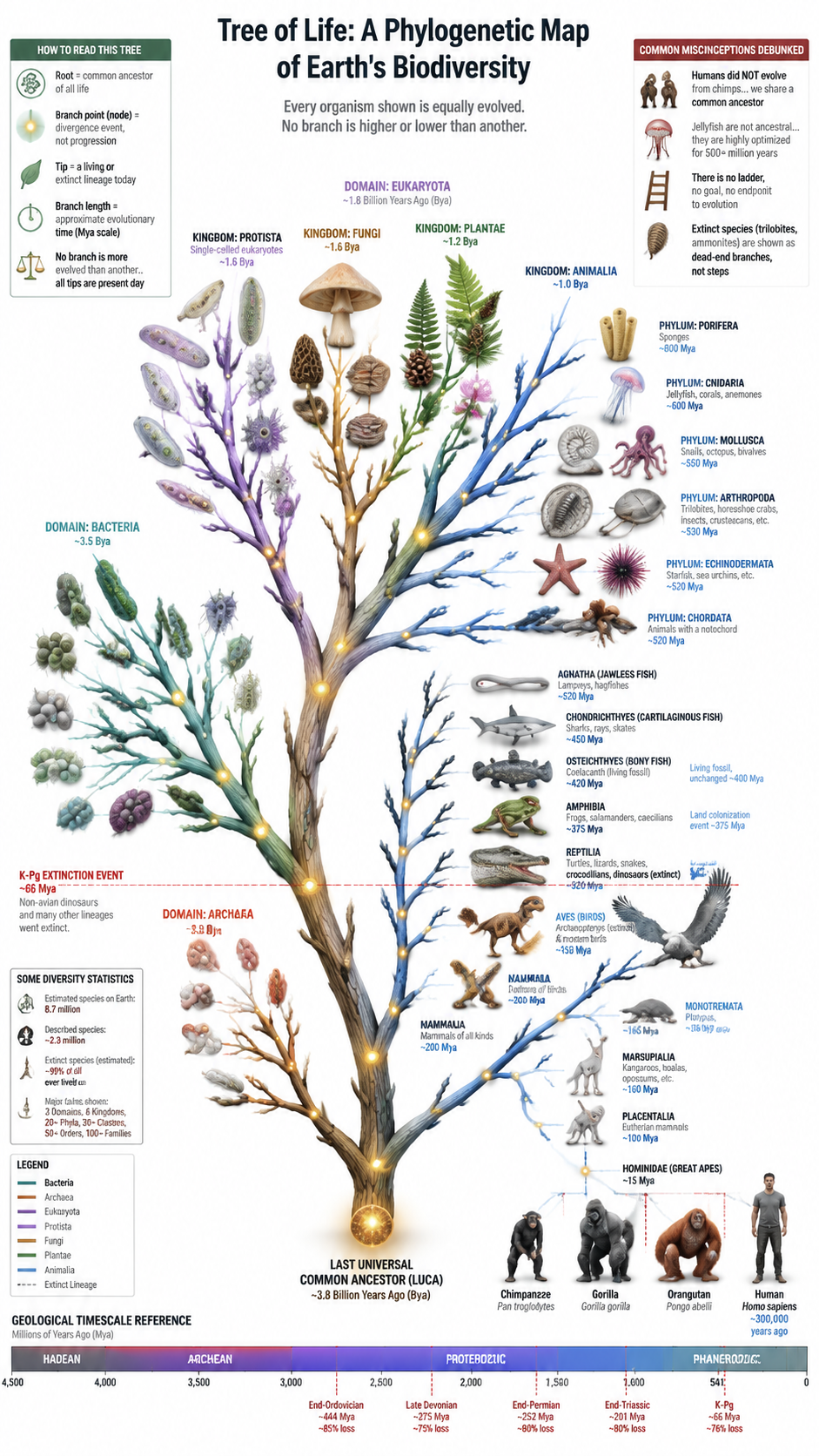 Realistic 3D Evolutionary Tree of Life