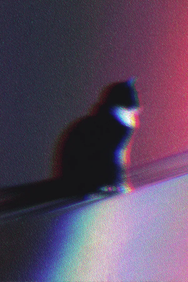 Квантовый глитч-кот