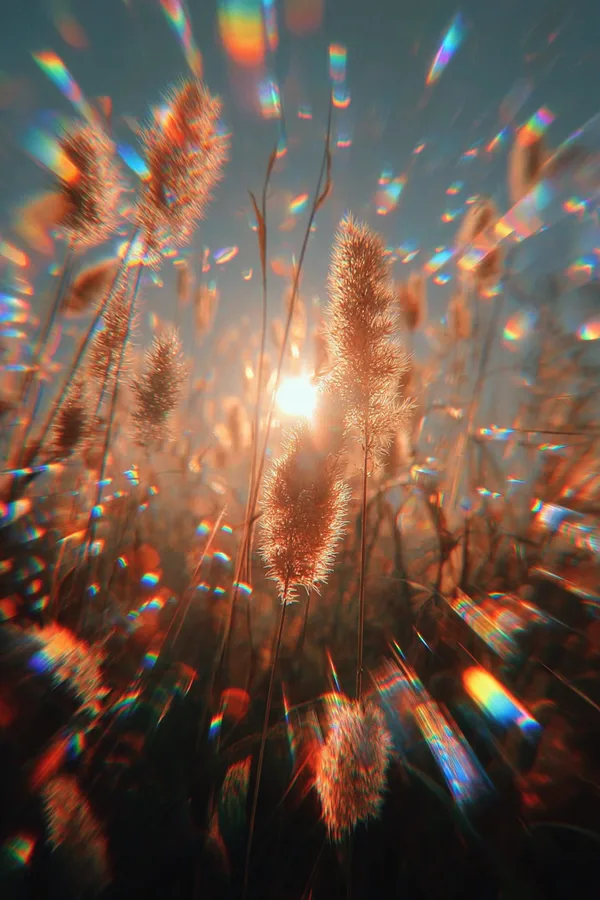 Example of an image generated in MidJourney