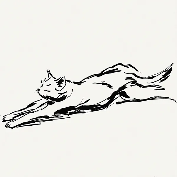 一笔勾勒的伸懒腰猫咪