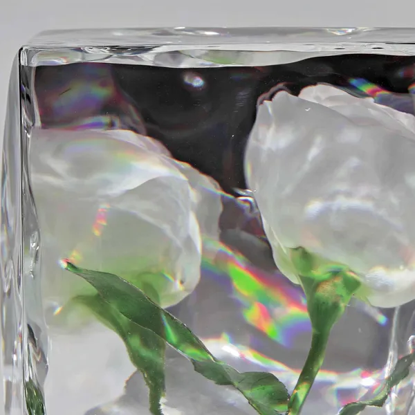 Example of an image generated in MidJourney
