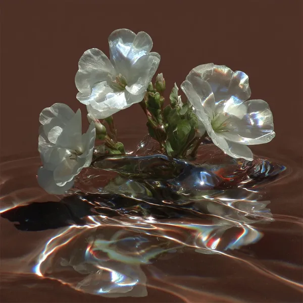 Example of an image generated in MidJourney