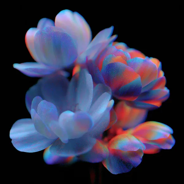 Example of an image generated in MidJourney