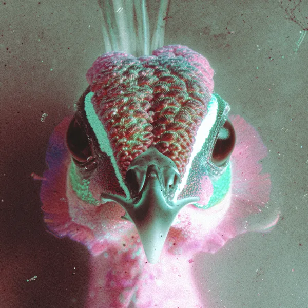 Example of an image generated in MidJourney