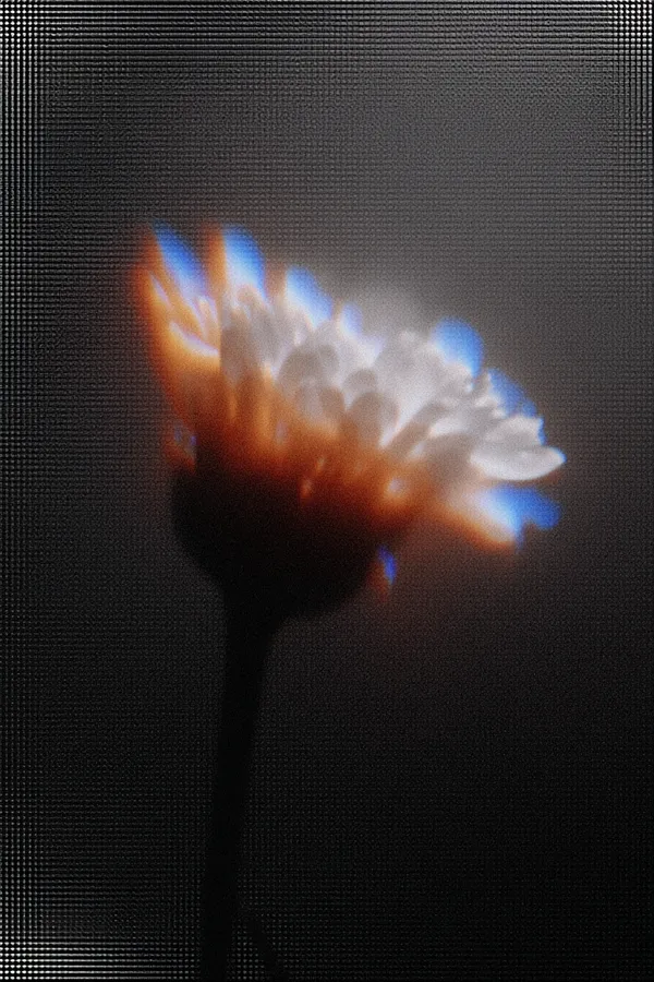 Example of an image generated in MidJourney