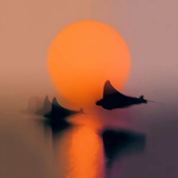 Example of an image generated in MidJourney