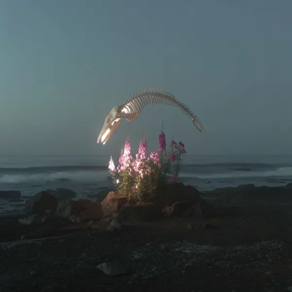 Example of an image generated in MidJourney